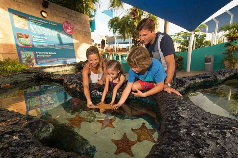 Cancún: Interactive Aquarium Admission - Corals, anemones, and the “what am I looking at?” payoff