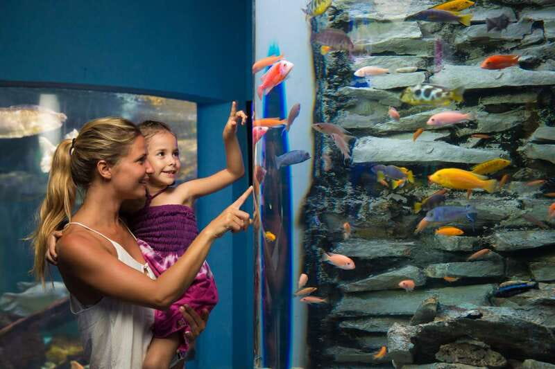Cancún: Interactive Aquarium Admission - Learning extras: iPad zone and the Axolotl exhibit