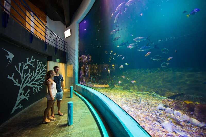 Cancún: Interactive Aquarium Admission - Timing it right in a Cancún day