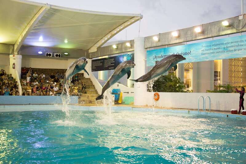 Cancún Interactive Aquarium Admission + Dolphin Presentation - Plaza La Isla location and what that means for your day