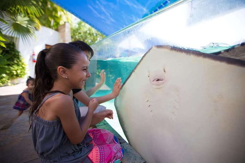 Cancún Interactive Aquarium Admission + Dolphin Presentation - The fish tank walk-through with 1,195 specimens