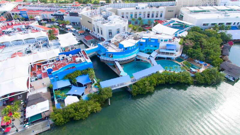Cancún Interactive Aquarium Admission + Dolphin Presentation - Touch tanks: rays, starfish, and urchins