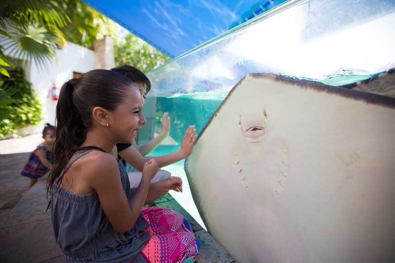Cancún Interactive Aquarium Admission + Dolphin Presentation - Value check: $26 and what makes it feel worth it