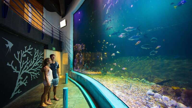 Cancún Interactive Aquarium Admission + Dolphin Presentation - Interactive Aquarium layout: seeing 140+ species without getting wet