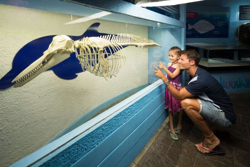 Cancún: Interactive Aquarium Admission - The main viewing route: freshwater, saltwater, and lots to spot