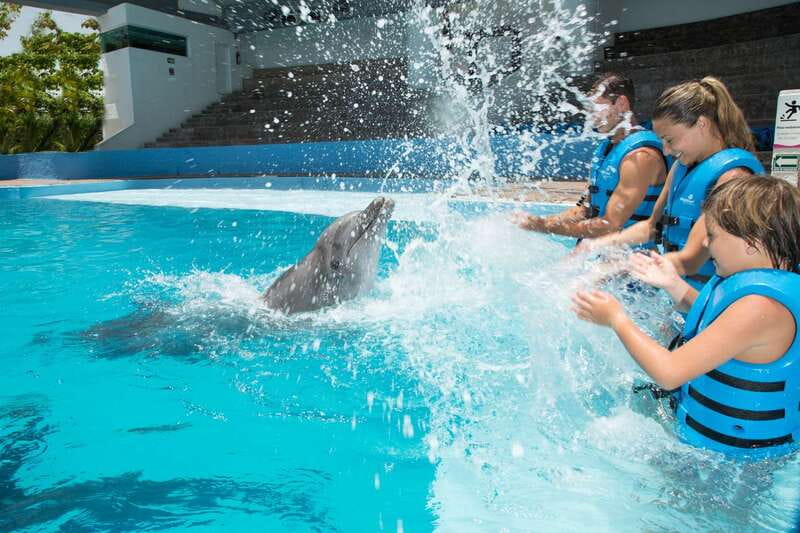 Cancun: Interactive Aquarium - Swim with Dolphins Splash - Why the Delphinus Cancun dolphin swim feels more personal