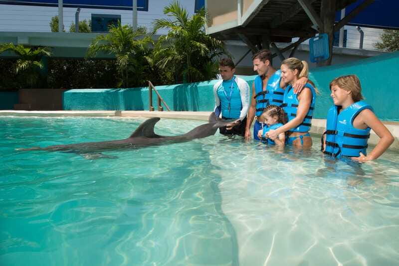 Cancun: Interactive Aquarium - Swim with Dolphins Splash - Price and value: $127 for 35 minutes, plus the required tax