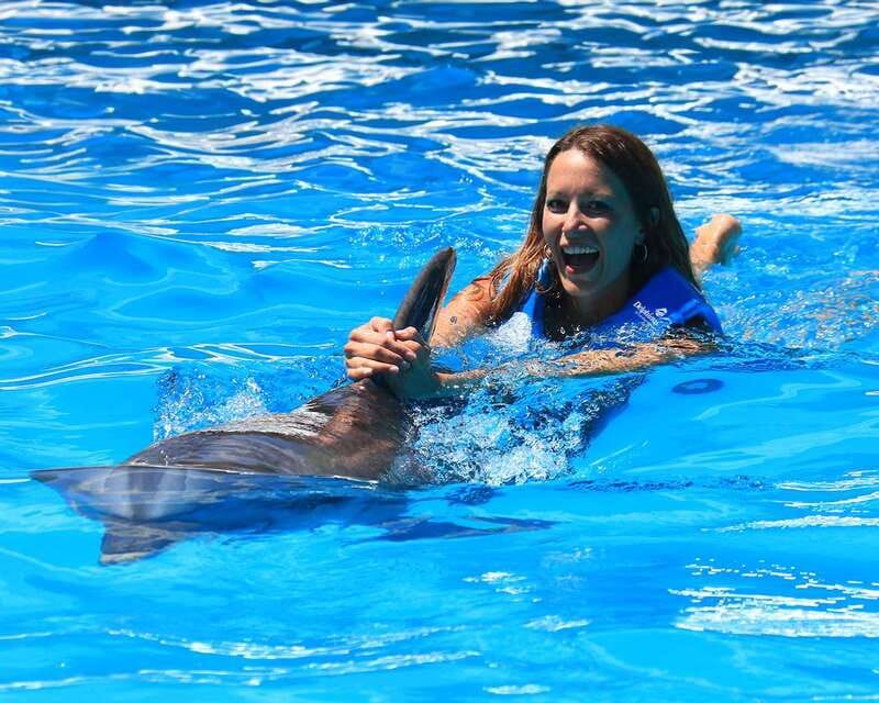 Cancun: Interactive Aquarium Ticket and Swim with Dolphins - Key highlights I’d circle