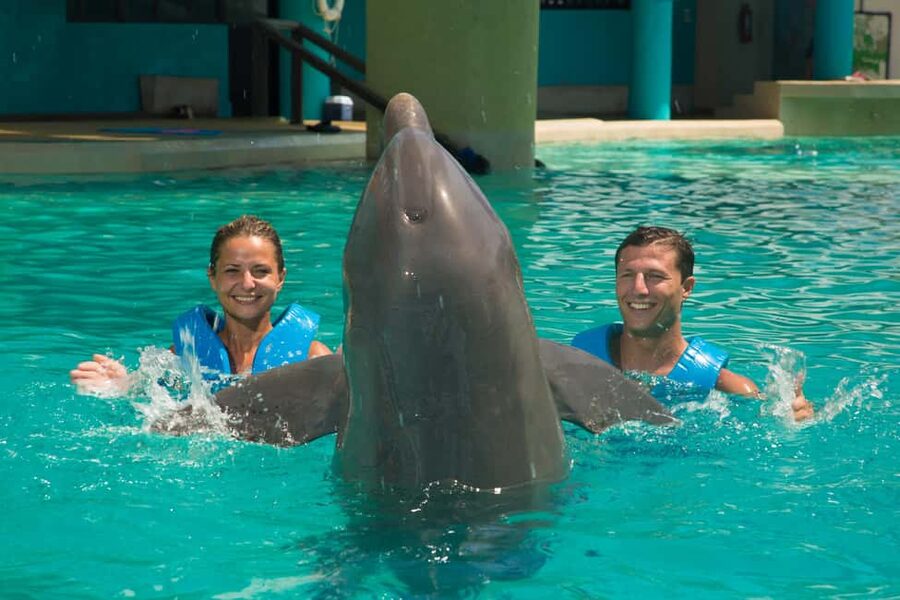 Cancun: Interactive Aquarium Ticket and Swim with Dolphins - Where Interactive Aquarium Cancun Fits Into Your Cancun Day