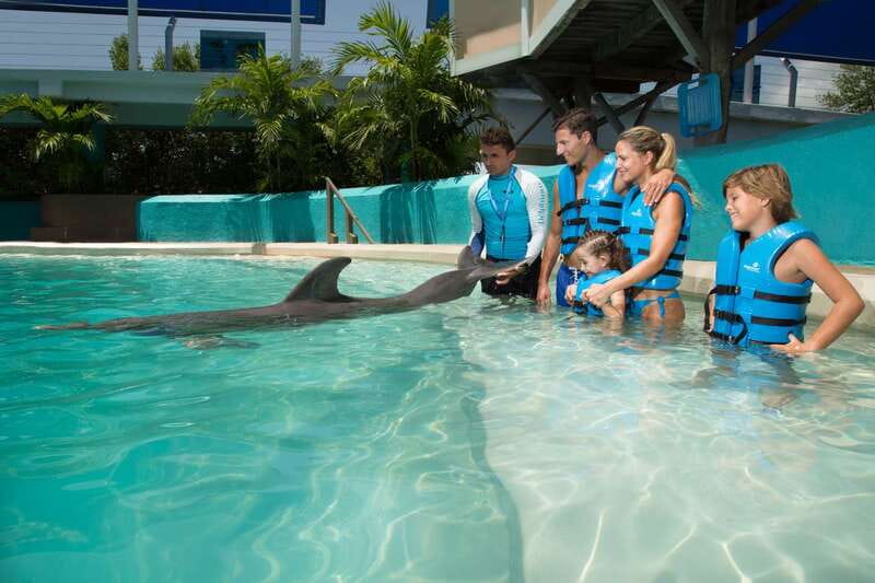 Cancun: Interactive Aquarium Ticket and Swim with Dolphins - Entering the Interactive Aquarium Area Before You Meet the Dolphins
