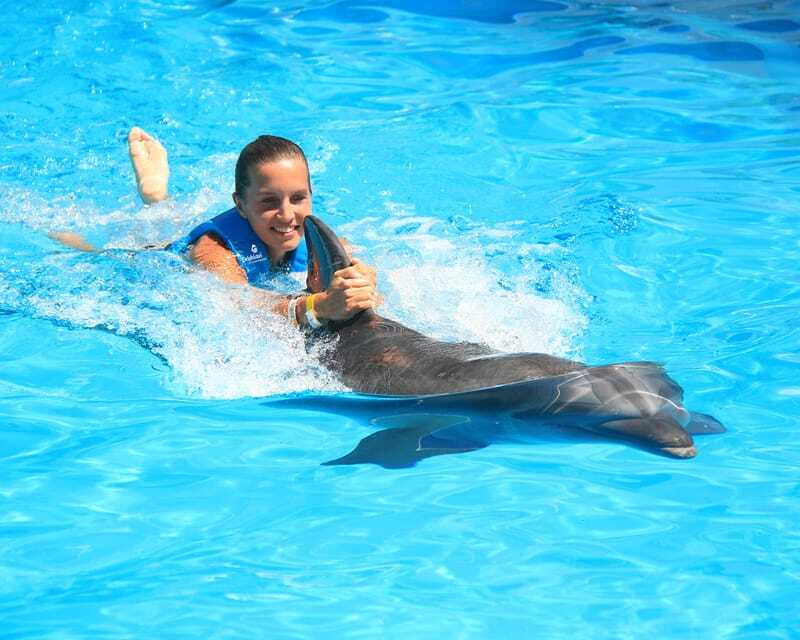 Cancun: Interactive Aquarium Ticket and Swim with Dolphins - Meeting Point at Plaza La Isla, and Why That Matters