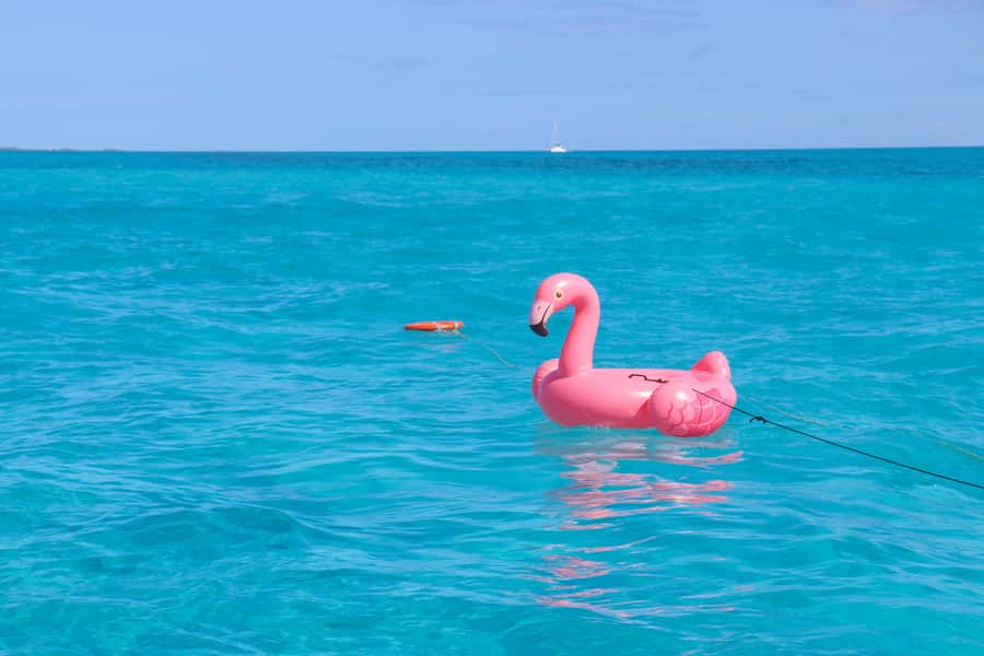 Cancun: Isla Mujeres Full Day Dancer Cruise - DJ dancing on the return: the party section you can actually control