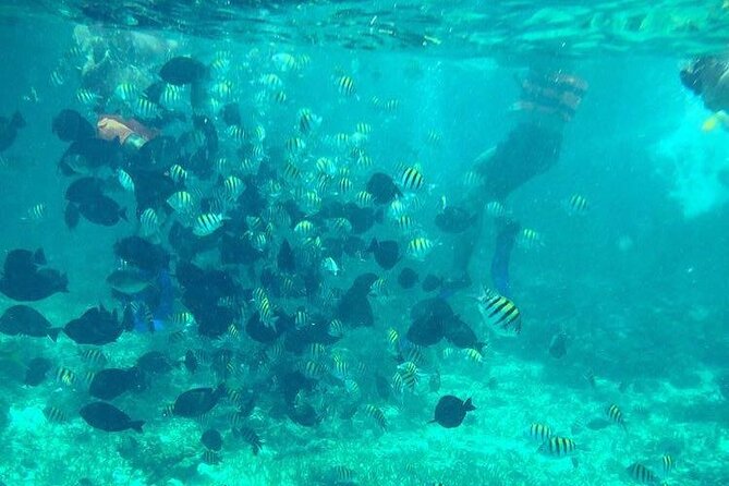 Cancun Jetski and Snorkel Adventure - Price in Cancun math: $75 plus the $20 dock fee