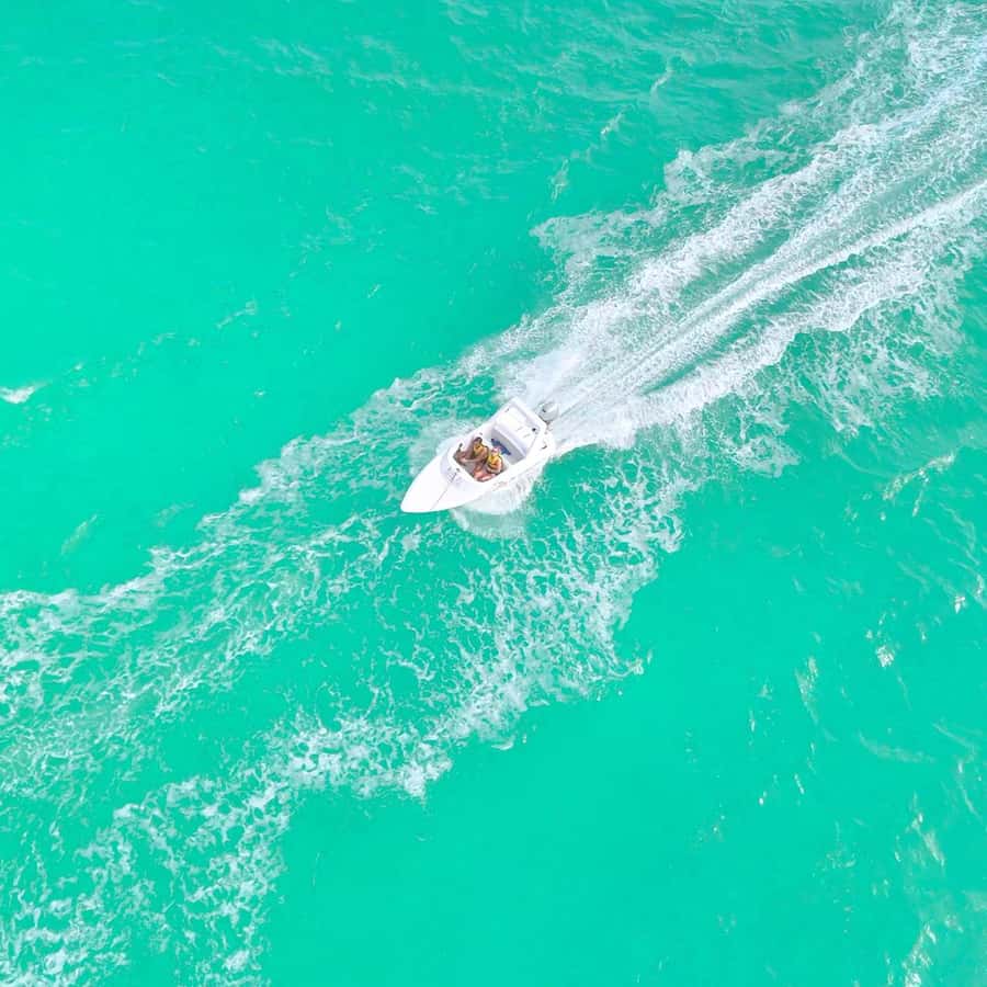 Cancun: Jungle Speedboat and Snorkeling Tour Adventure - What Could Affect Your Comfort (And How To Prepare)