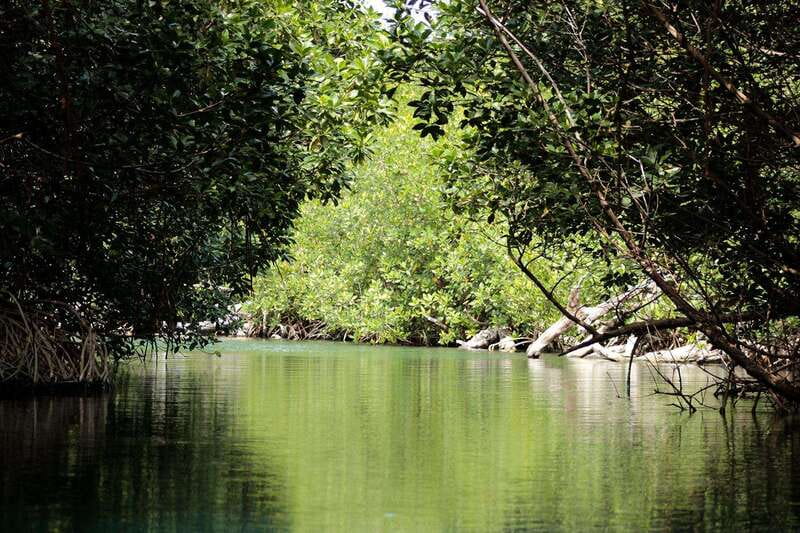 Cancun: Jungle Tour Adventure with Speedboat and Snorkeling - Value check: is $50 (plus marine fees) fair for 3 hours?