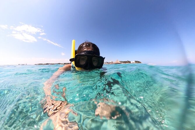 Cancun Jungle Tour with Speedboat and Snorkeling - Nichupté Lagoon: mangroves you see at the speedboat level