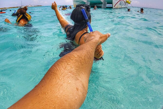 Cancun Jungle Tour with Speedboat and Snorkeling - Price and logistics: what $59 really means in your budget