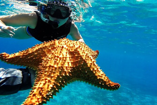 Cancun Jungle Tour with Speedboat and Snorkeling - Who this tour suits best in Cancun