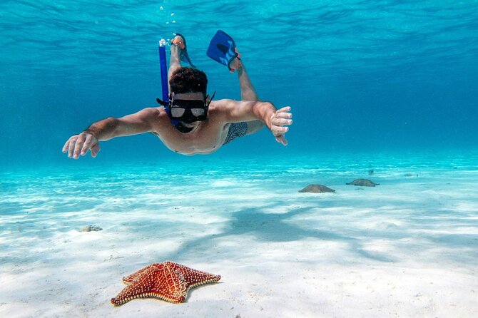 Cancun Jungle Tour with Speedboat and Snorkeling - Timing tips so your day stays smooth