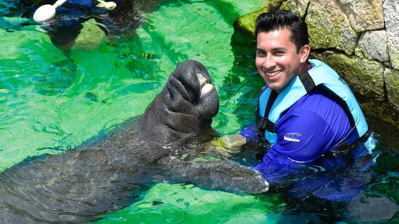 Cancún: Manatee Encounter on Isla Mujeres with Buffet Lunch - Should You Book This Cancún Manatee Encounter on Isla Mujeres?
