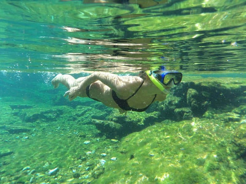 Cancun: Marine Turtle Observation in Akumal - The crowd reality in Akumal, and how to protect your experience