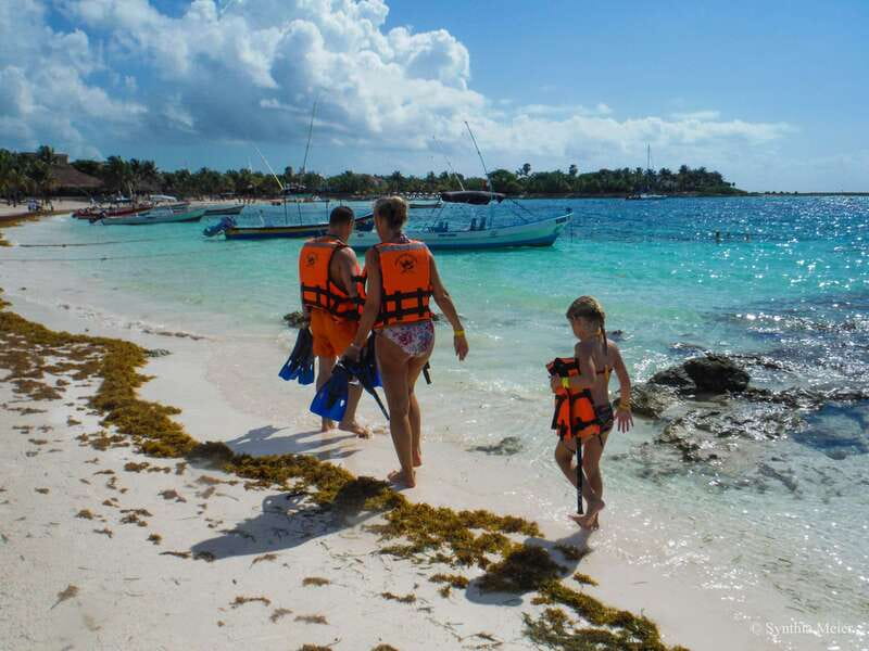 Cancun: Marine Turtle Observation in Akumal - Who should go, and who should skip this turtle and cenote combo