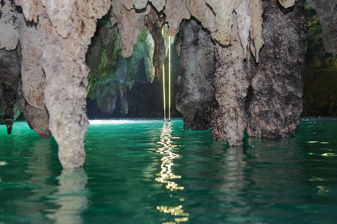 Cancun Mayan Pass: ATV, Cenote, Zipline, Transportation & Horses - Ziplining above the canopy: four routes and hanging bridges
