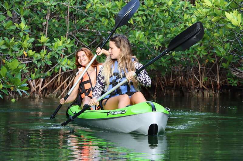 Cancun: Morning Kayak Adventure - Sunrise Kayaking on Laguna Nichupté: Quiet Cancun at Mangrove Speed