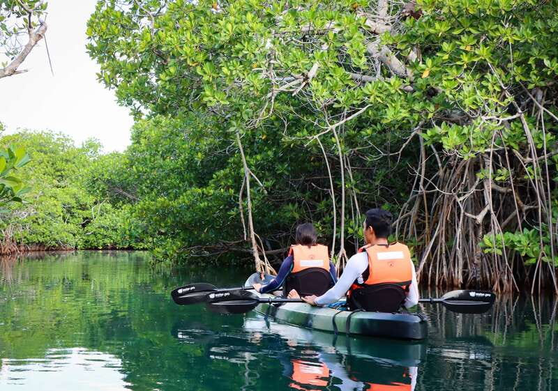 Cancun: Morning Kayak Adventure - A 15-Minute Break and Photo Stop You’ll Be Glad Exists