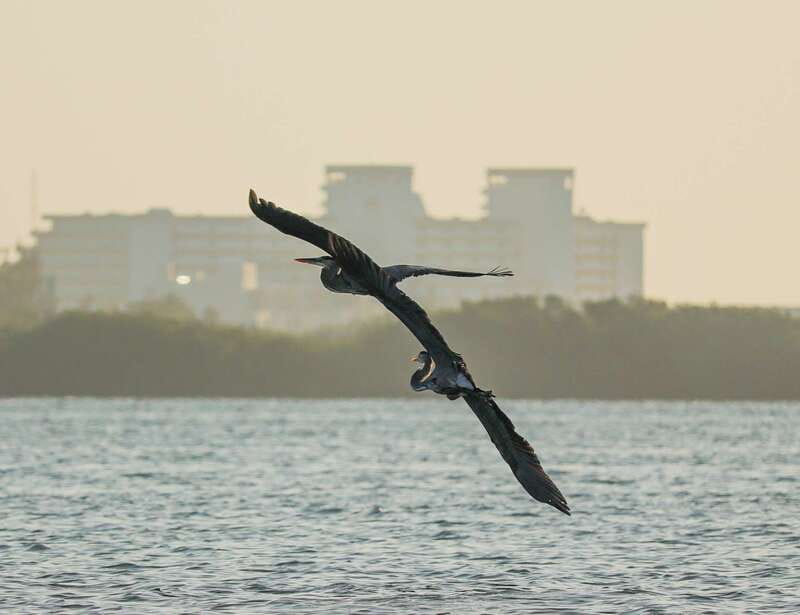 Cancun: Morning Kayak Adventure - Why This Mangrove Route Feels Different Than Typical Cancun Activities