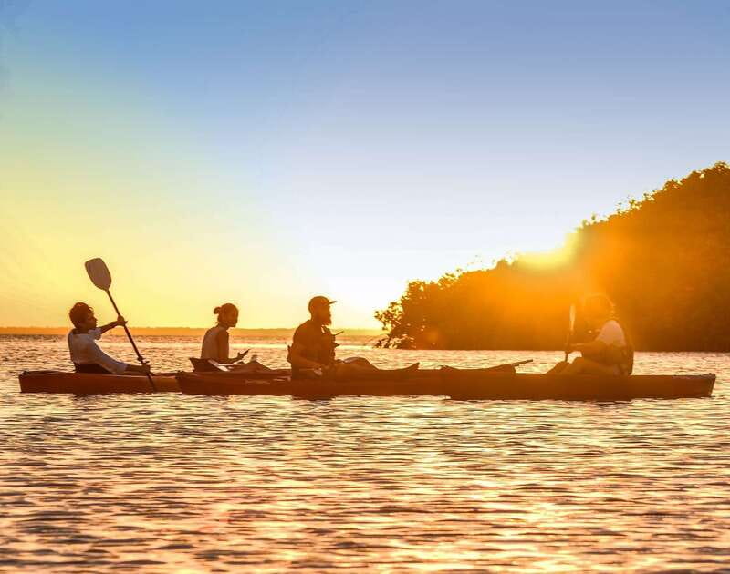 Cancún: Morning or Sunset Kayak Adventure in Nichupte Lagoon - Key highlights worth your time