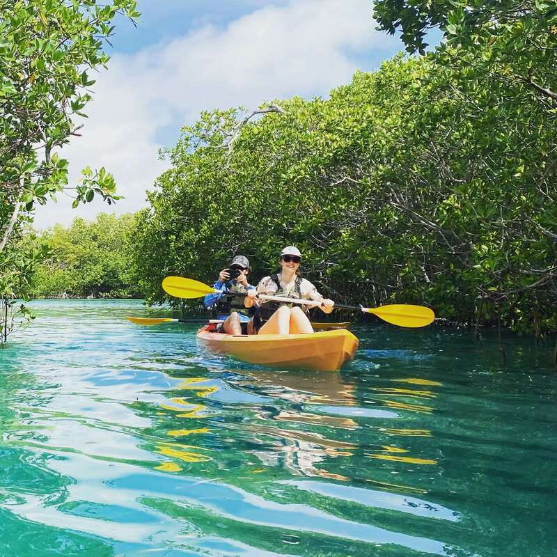 Cancún: Morning or Sunset Kayak Adventure in Nichupte Lagoon - Sunsets, mornings, and the birdwatching factor