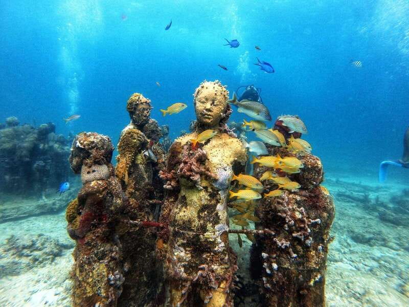 Cancun: Musa Underwater Museum & Reef Discover Scuba Diving - Key Things I’d Bet On Before You Go