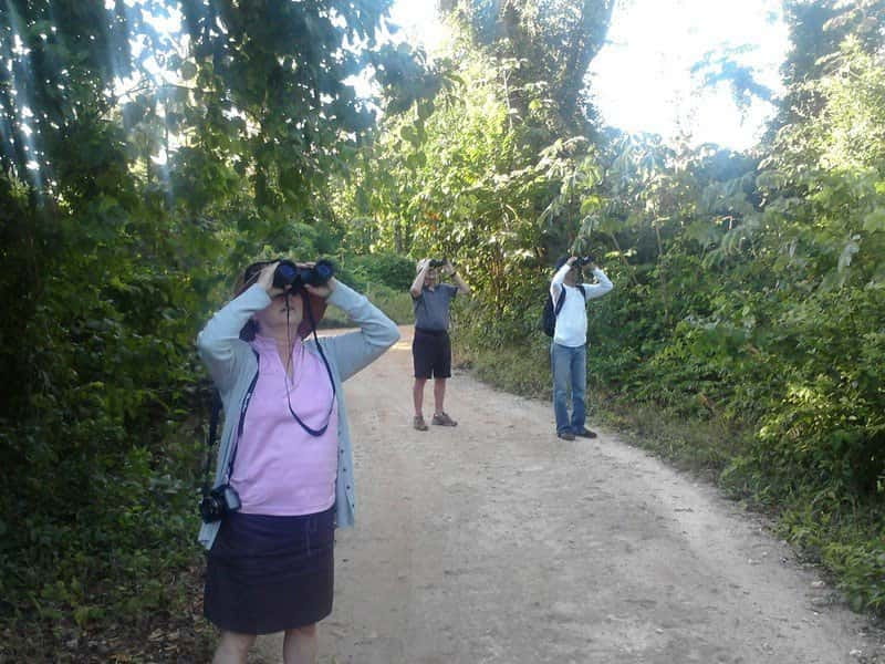Cancun: Private Birdwatching Tour - Price and logistics: what $555 per group up to 4 really buys
