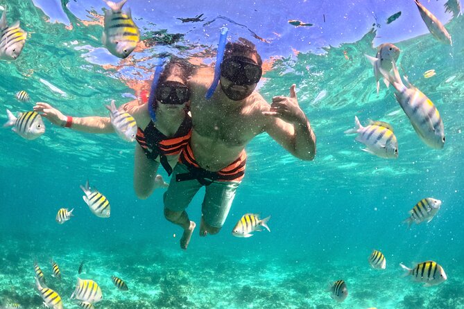 Cancun Private Catamaran Cruise– Open Bar & Snorkeling Experience - Practical Tips for a Smooth Day on the Water