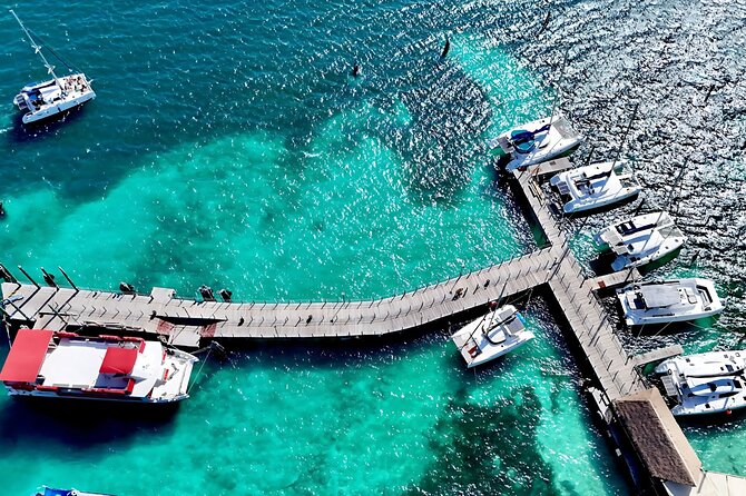Cancun Private Catamaran Cruise– Open Bar & Snorkeling Experience - Playa Tortugas Stop: Snorkeling Time Without the Gear Hunt