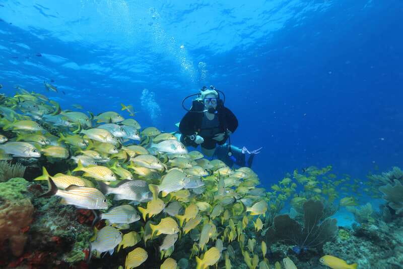 Cancun: Scuba Diving for Beginners, 2 Dives - MUSA Underwater Museum: Your First Tank Session in Cancun