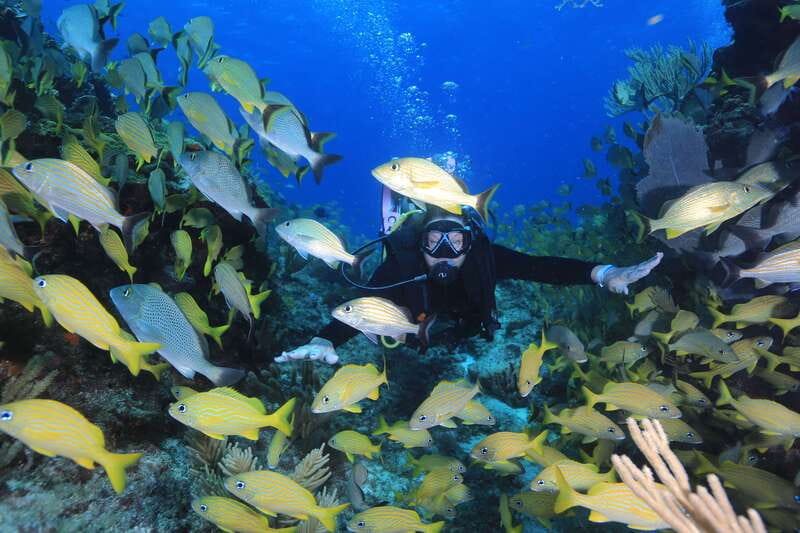 Cancun: Scuba Diving for Certified Divers, 3 options to dive - Gear Is Included, But Your Prep Starts Before You Arrive