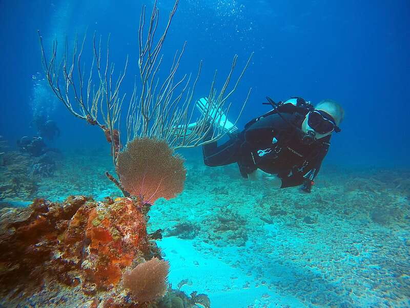 Cancun: Scuba Diving for Certified Divers, 3 options to dive - Option 3: Wreck-and-Reef at C-58 or C-55 plus open Caribbean scenery
