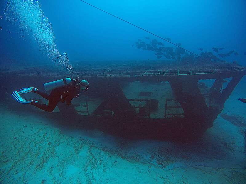 Cancun: Scuba Diving for Certified Divers, 3 options to dive - Marine Life You May See, Plus Photo and Video Worth It