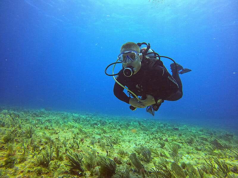 Cancun: Scuba Diving for Certified Divers, 3 options to dive - Sotavento Meeting Point, Timing, and How the Day Flows