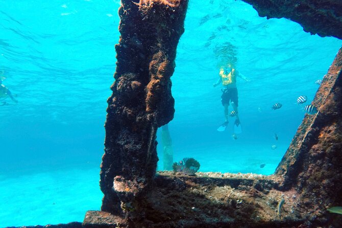 Cancun Snorkeling Adventure: Underwater Museum, Reef & Shipwreck - Gear, Safety, and That Extraction-Service Backup