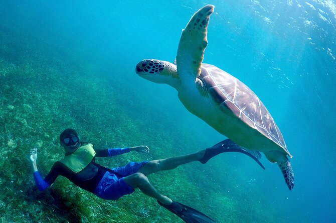 Cancun Snorkeling Adventure: Underwater Museum, Reef & Shipwreck - How the 4 Hours Usually Roll (and Why Check-In Might Feel Slow)