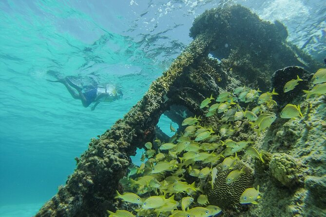 Cancun Snorkeling Adventure: Underwater Museum, Reef & Shipwreck - Packing Tips That Actually Make Snorkeling Easier