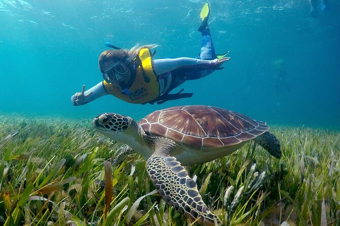 Cancun Snorkeling Adventure: Underwater Museum, Reef & Shipwreck - Shipwreck and Shallow Sandy Stops: Why This Tour Feels Different