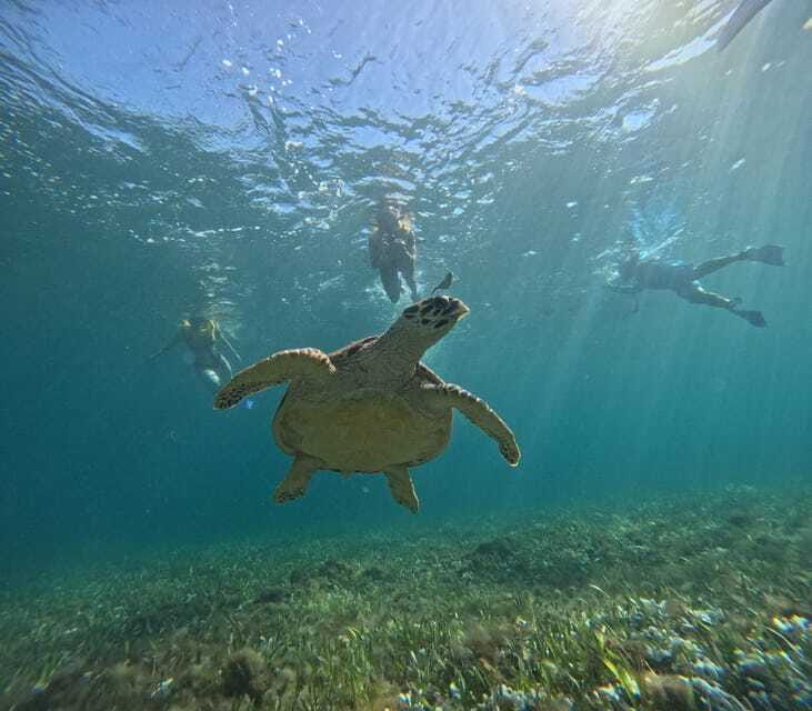Cancun: Snorkeling Boat Tour with Gear - Shipwreck snorkeling: white sand, coral growth, and fish everywhere
