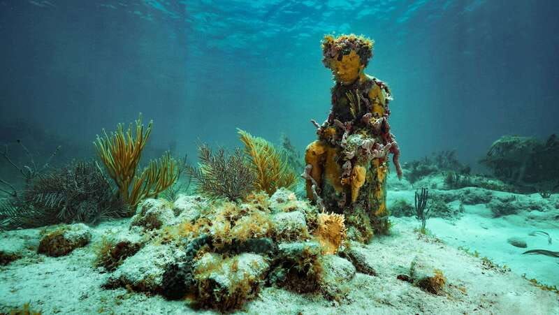 Cancun: Snorkeling Tour at MUSA The Underwater Museum - Snorkeling MUSA: 400+ sculptures and how to actually see them
