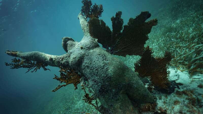 Cancun: Snorkeling Tour at MUSA The Underwater Museum - Who should book, and who should skip