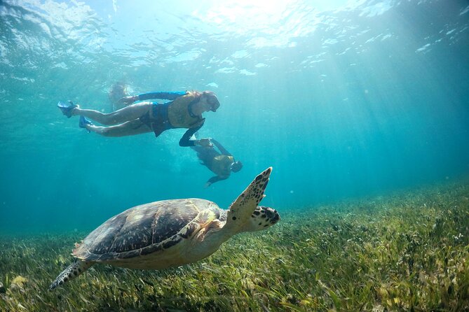 Cancun Snorkeling Tour: Swim with Turtles, Reef, Underwater Museum and Shipwreck - A small-boat snorkeling day with four distinct stops