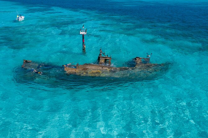 Cancun Snorkeling Tour: Swim with Turtles, Reef, Underwater Museum and Shipwreck - The shipwreck stop: coral growth turned into a natural attraction